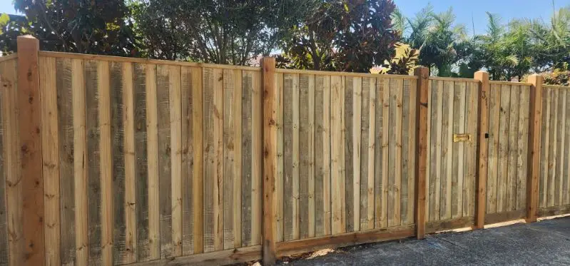Capped paling fence panels with a gate and brass latch