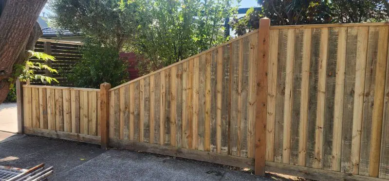 Capped paling fence raked down on a front corner beneath an olive tree