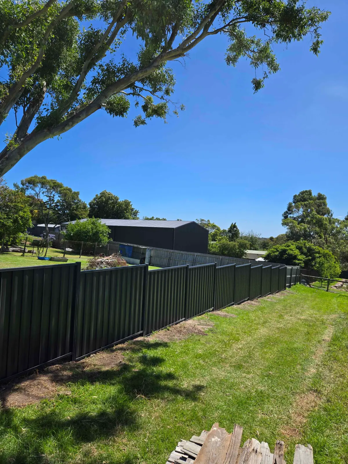 Dark green Colorbond fence stepped down a sloping block beneath gum trees