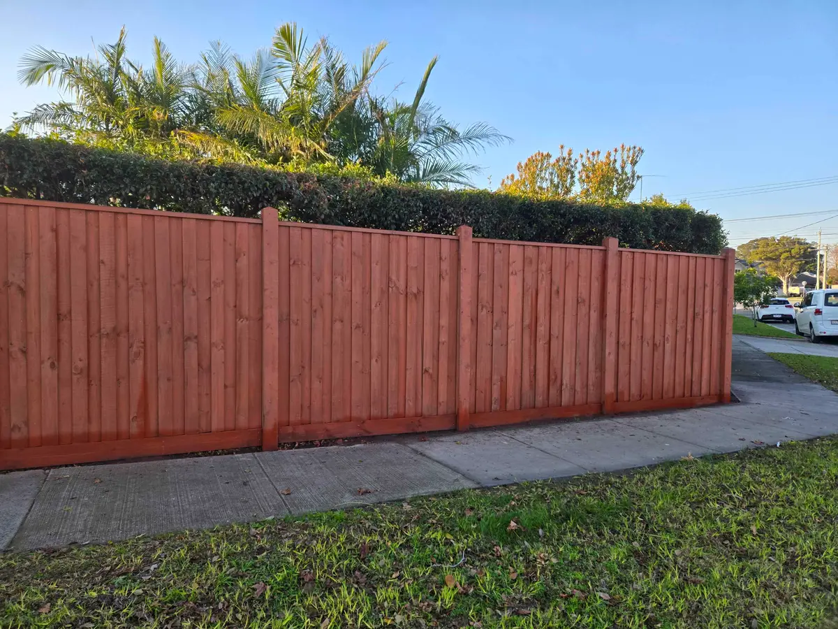 Stained capped timber paling fence along a front boundary beneath a hedge