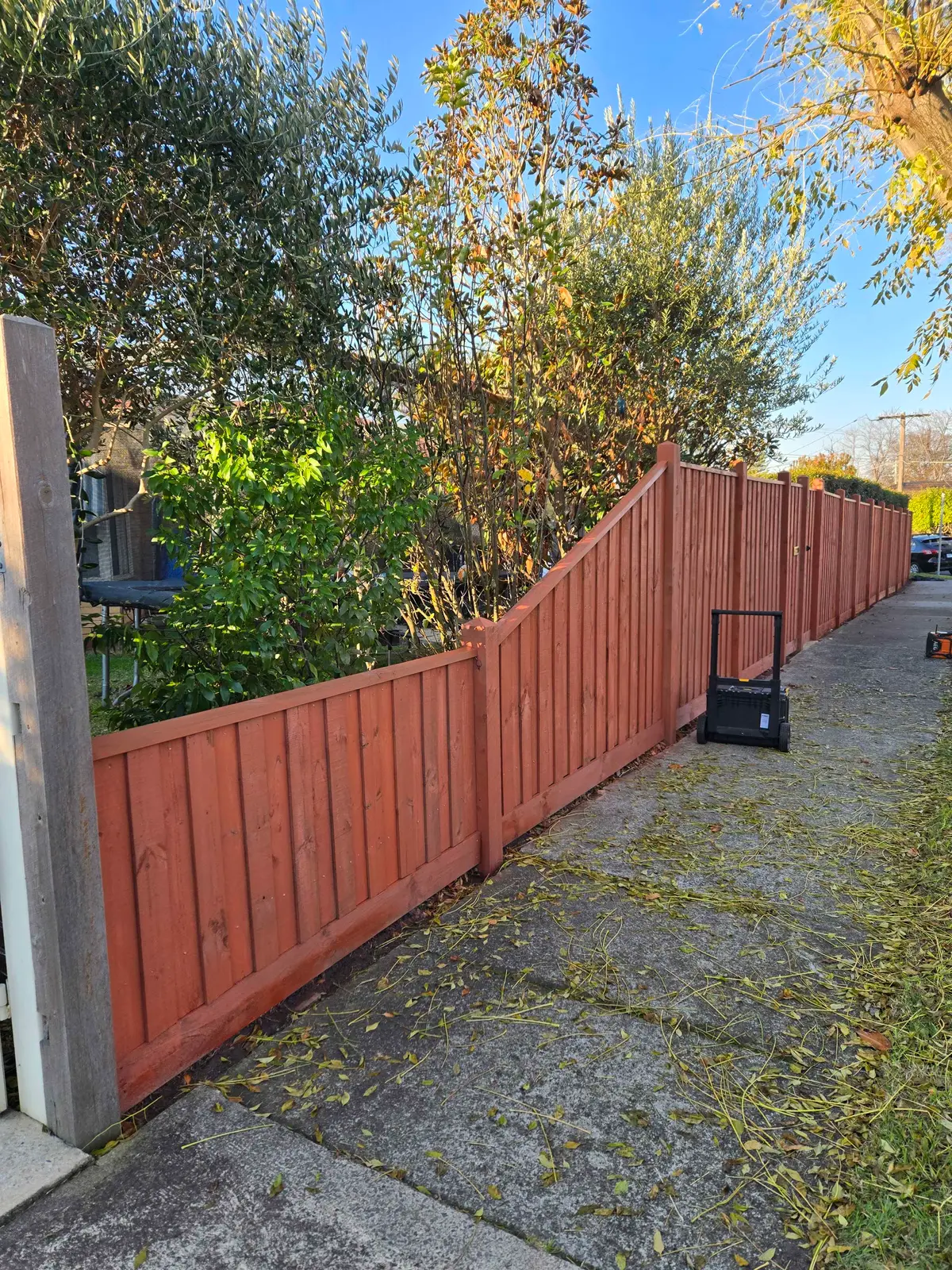 Stained capped paling fence raked down towards the street on a front boundary