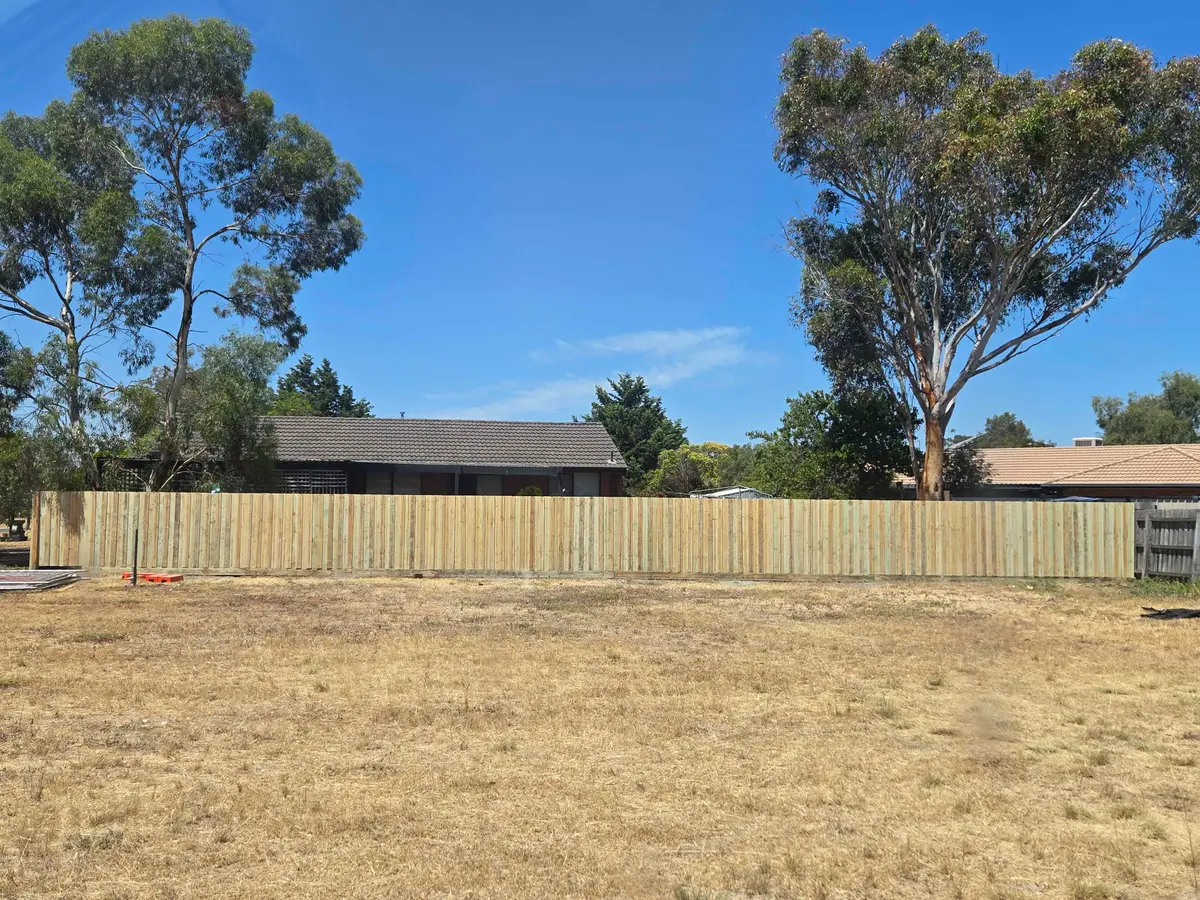 New timber paling fence along a rear boundary with gum trees behind