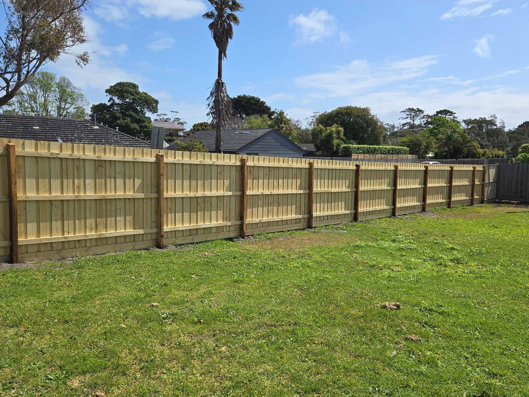 Timber Paling Fences