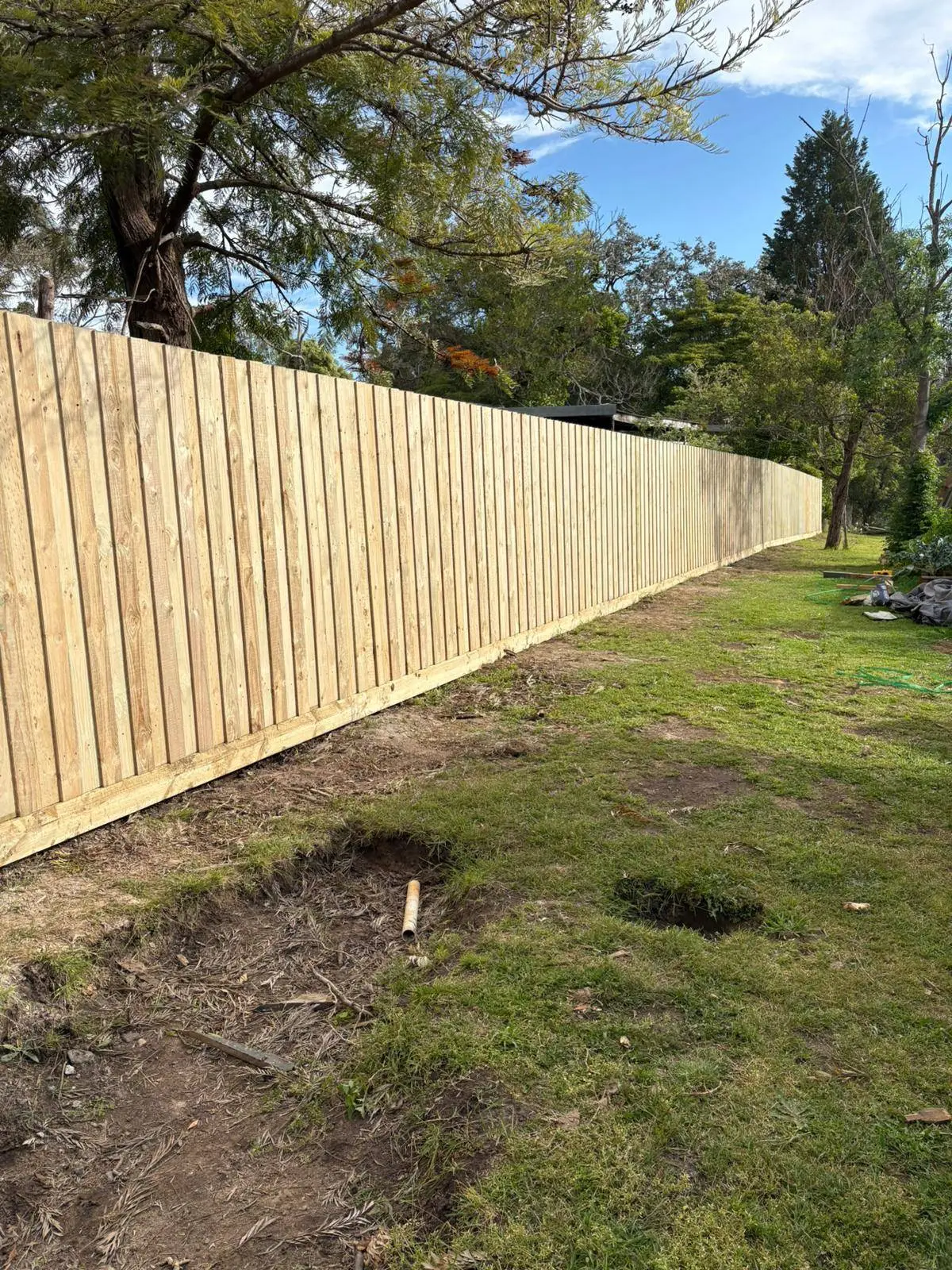 Long treated pine paling fence along a backyard beneath gum trees