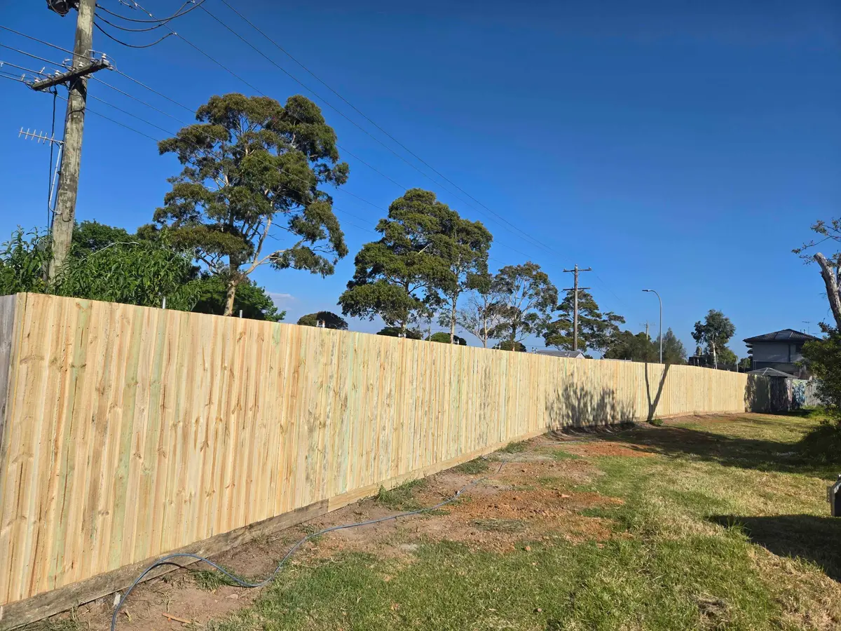 Long treated pine paling fence along a grassy verge under a clear blue sky